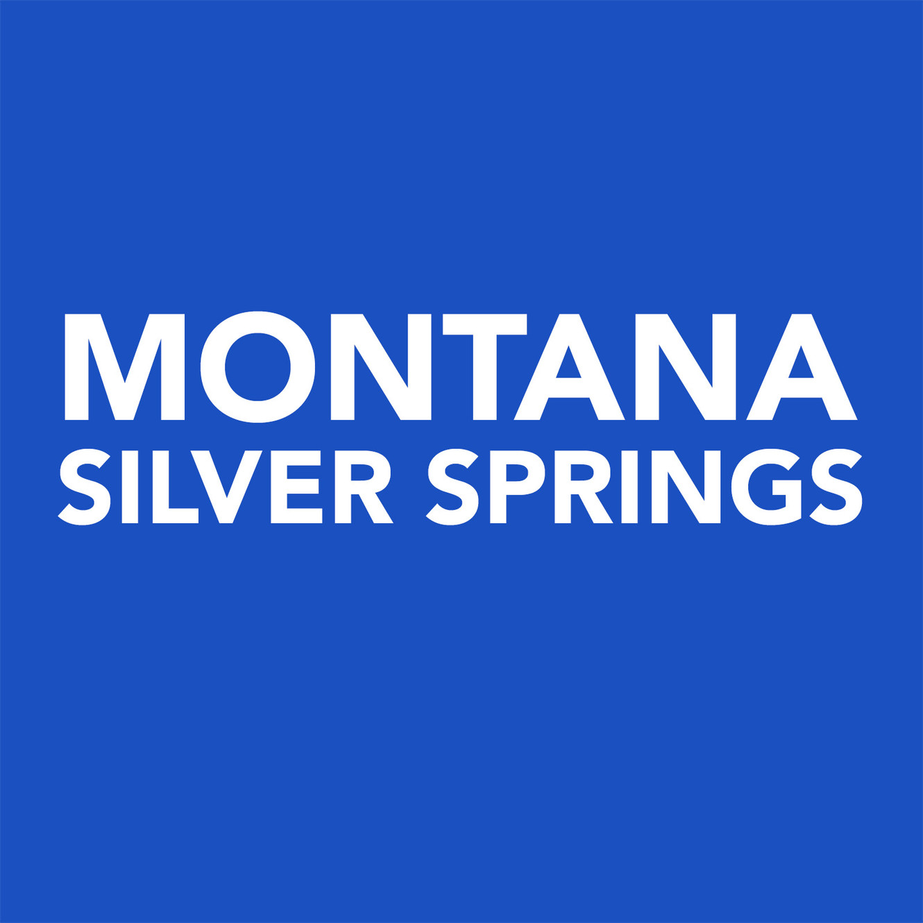 Montana Silver Springs