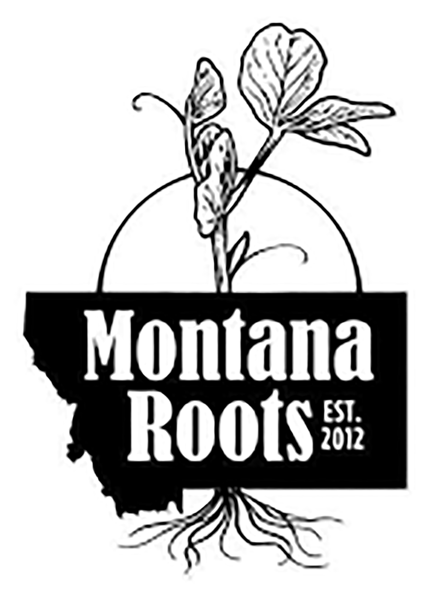 Montana Roots