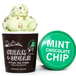 CS2 - Mint Chocolate Chip Ice Cream Pint
