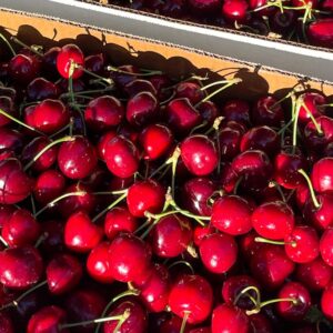 AAAAAAAAAAAAAAAAAAAAAAAAAAAAACW - Flathead Cherries, Pitted & Frozen ~$7 LB - NEW!