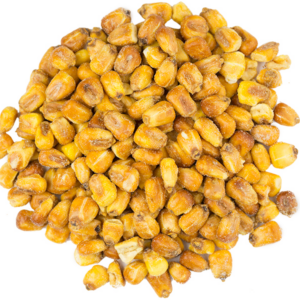 SX - Jumbo Corn Nuts, Roasted & Salted, Non-GMO Bulk